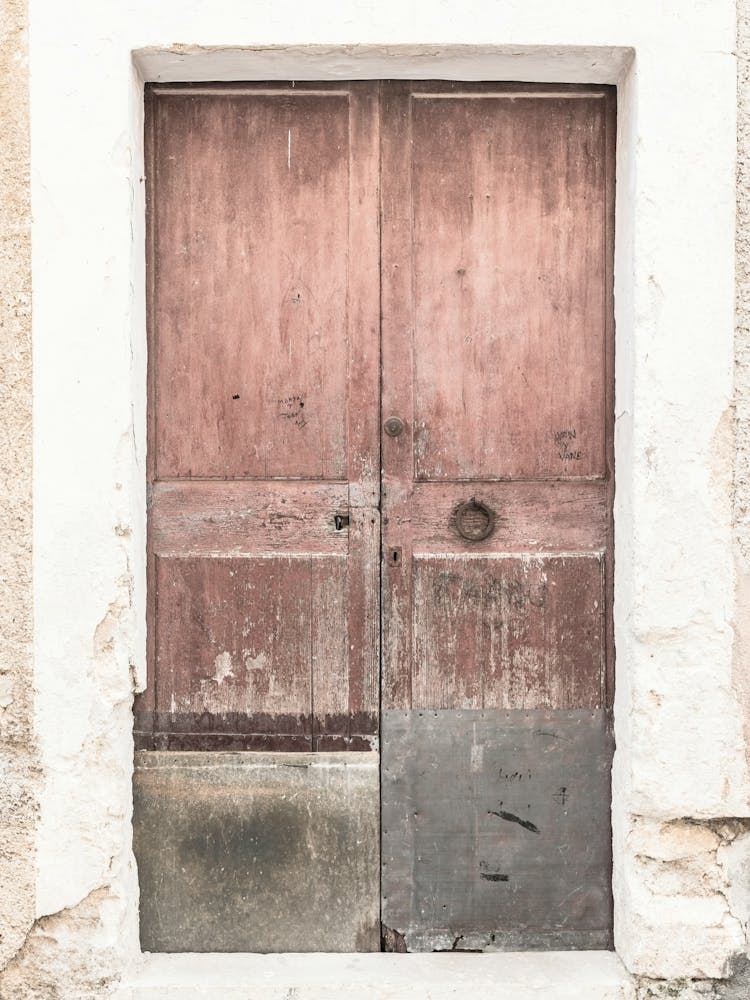 Old Wooden Door 1