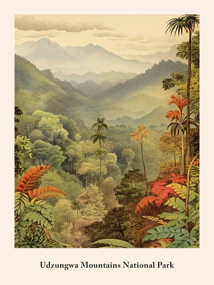 Udzungwa Mountains National Park
