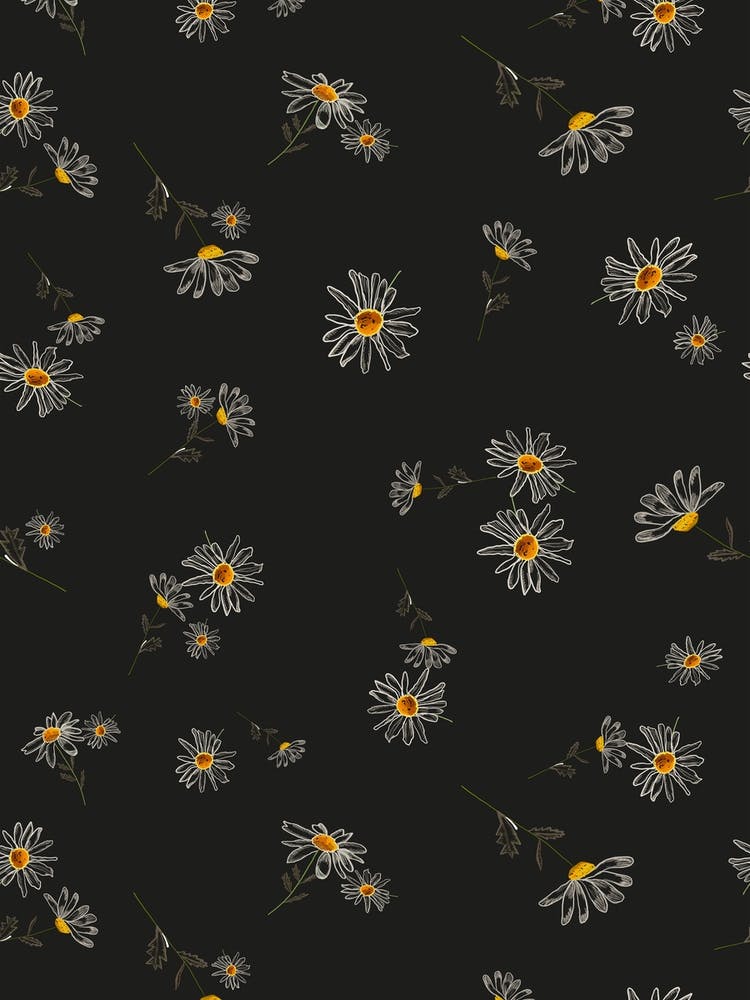 Daisies Artistic Floral