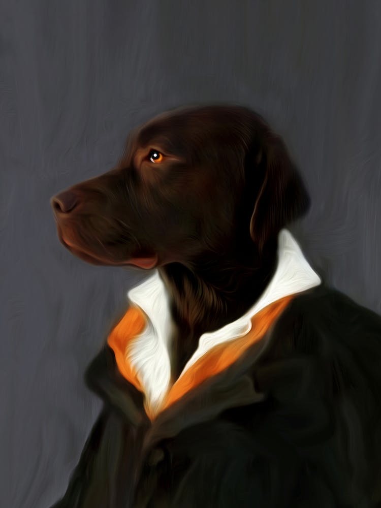 Labrador Deejay Dog Pet Portraits