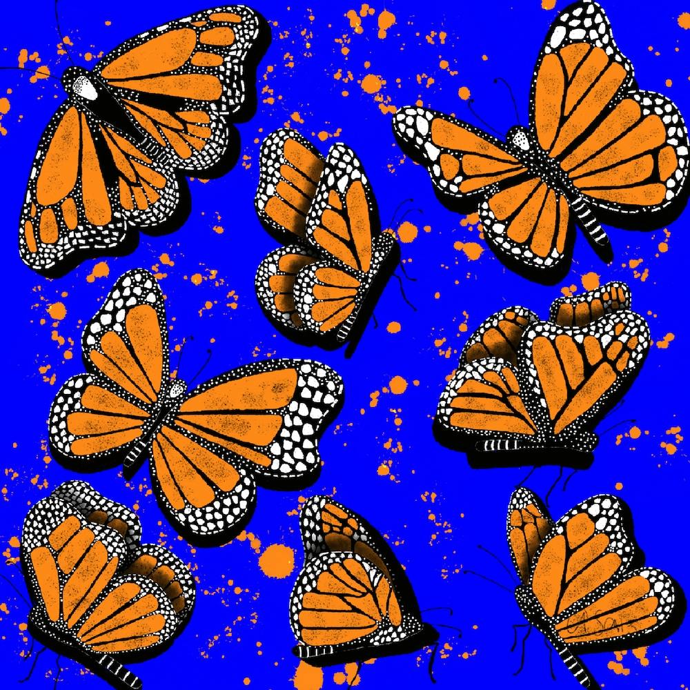 Monarch Butterflies 1