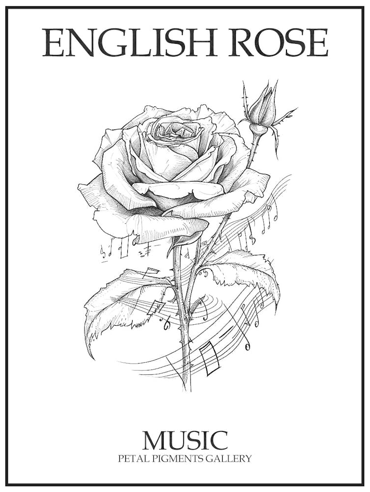 English Rose Music Line Drawing 2 Poster