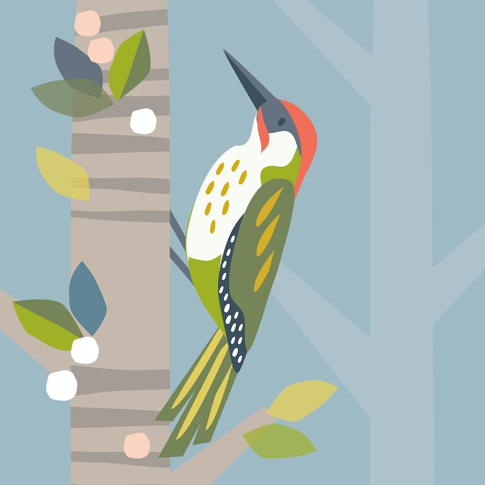 Woodpecker
