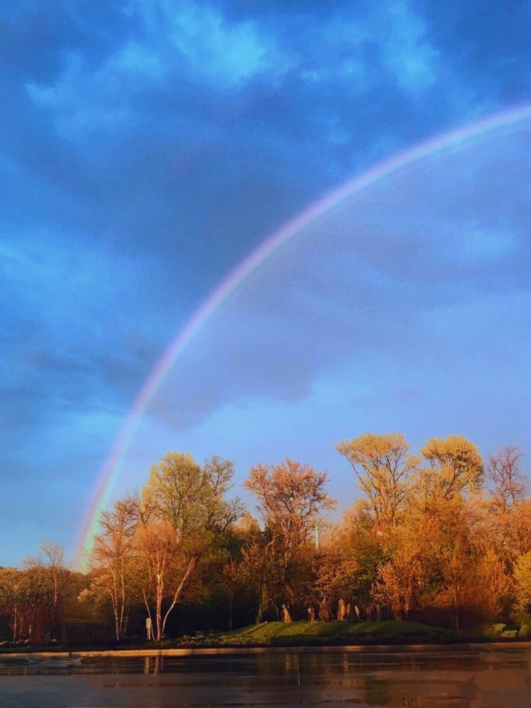 Rainbow In Maryland