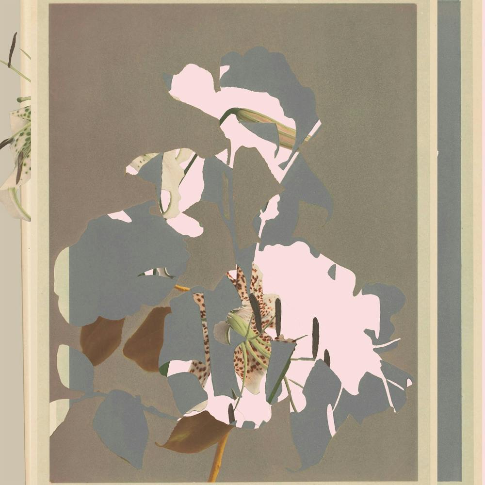 The First Plant · Ml