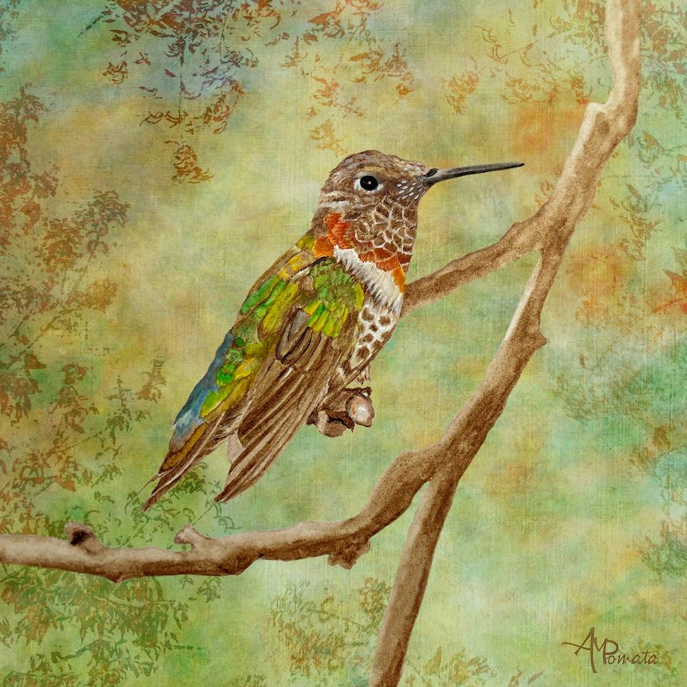 First Lights Of Autumn Square