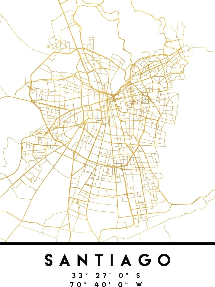 Santiago de Chile City Street Map