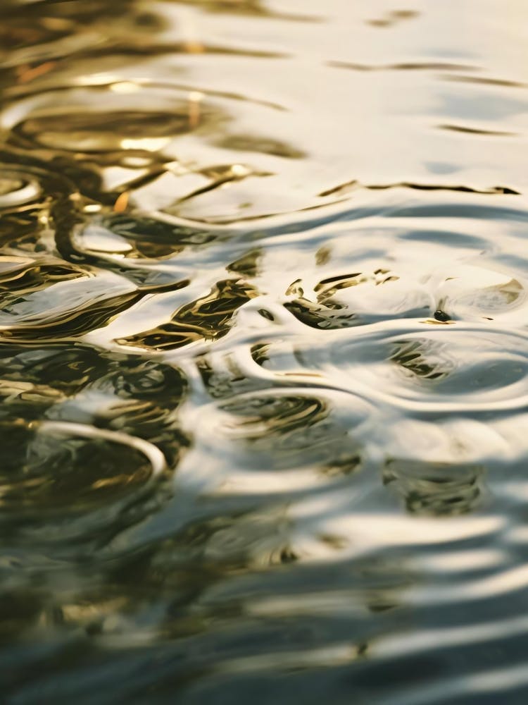 Ripples In The Water 1