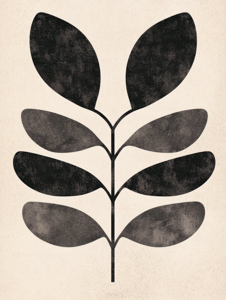 Leaf In Black And White