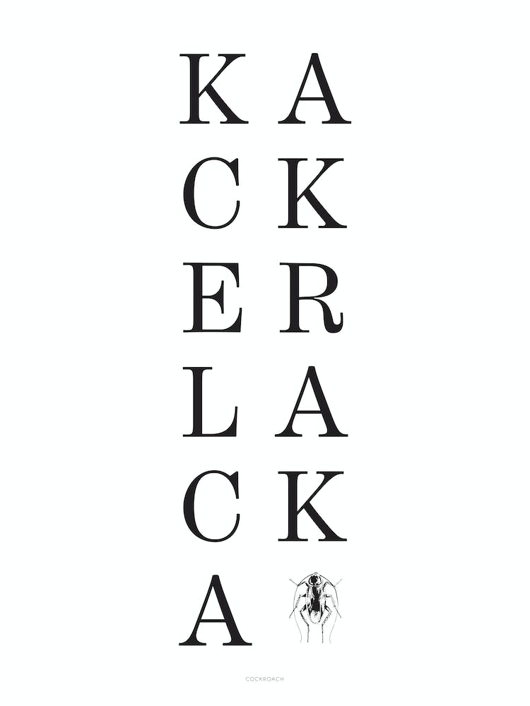 Kackerlacka by emerybloom
