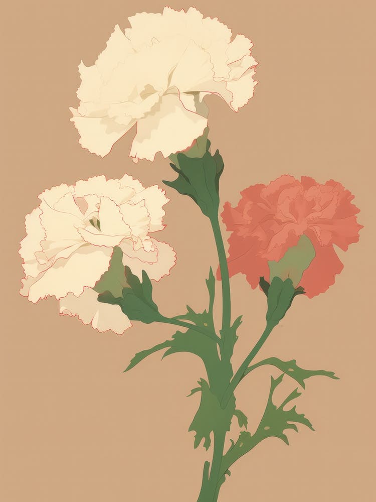 Carnations Flower Big Bold Illustration 1
