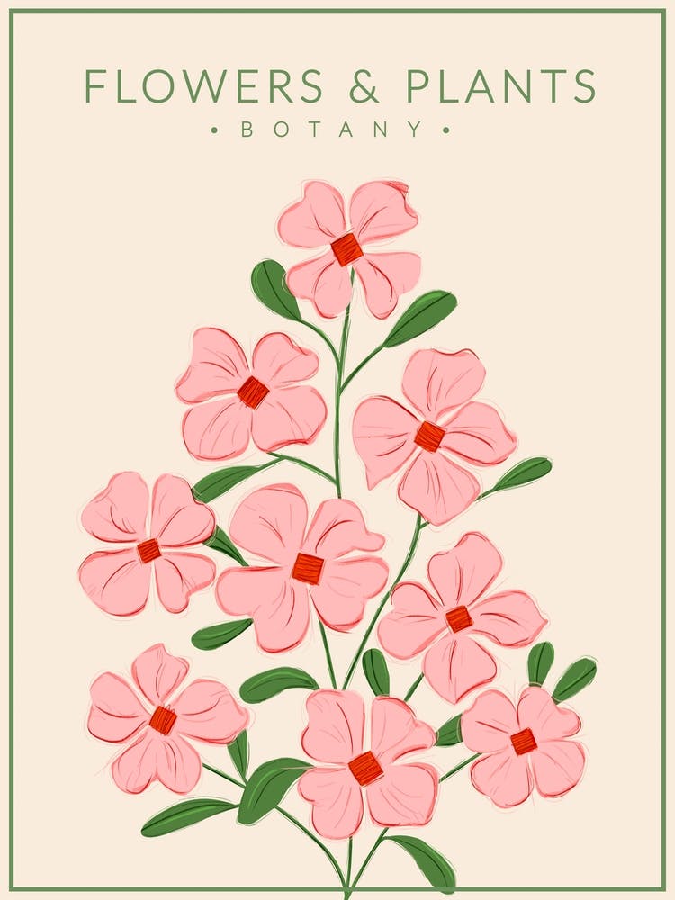 Soft Pink Flowers Botany