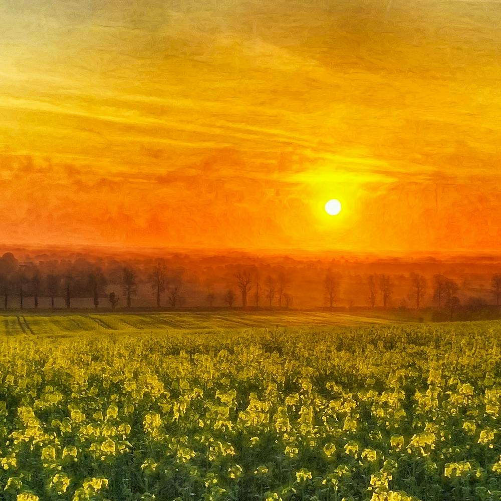 Sunrise Landscape