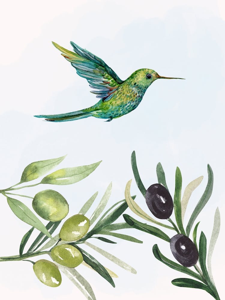 Hummingbird With Olives