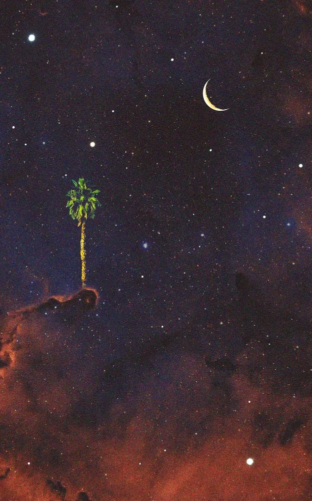 Galaxy Palm