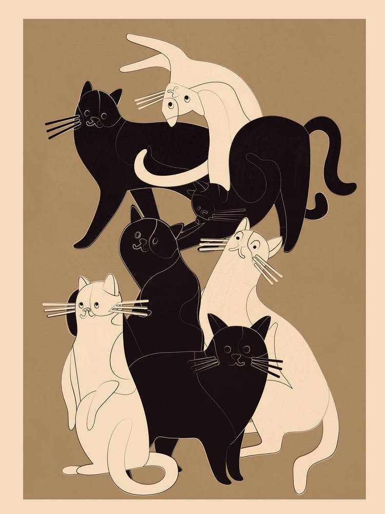 Minimal Abstract Cats 1