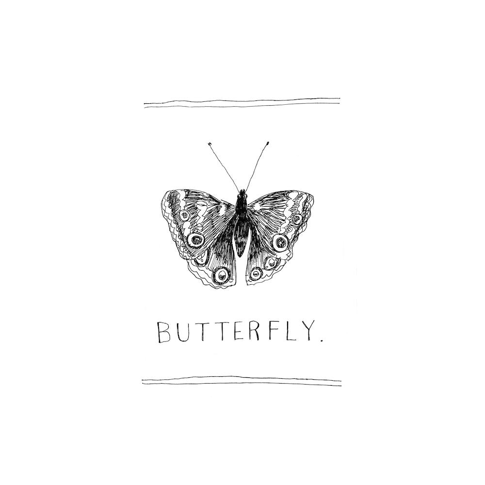 Tinten-Schmetterling