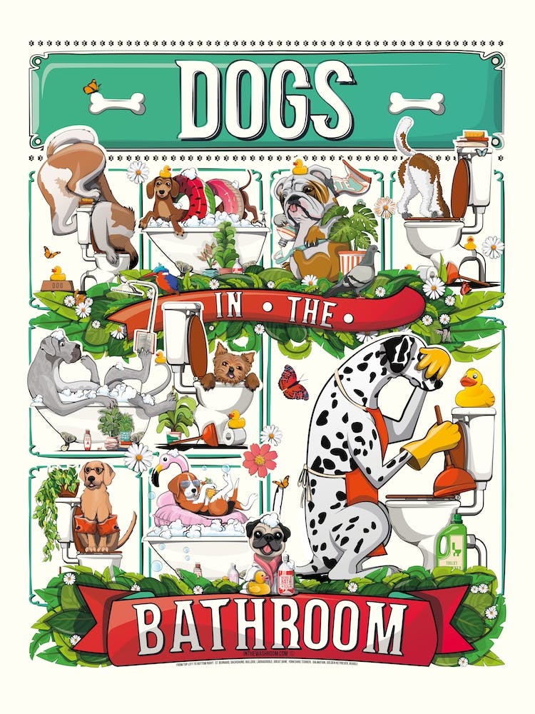 Dogs In The Bathroom