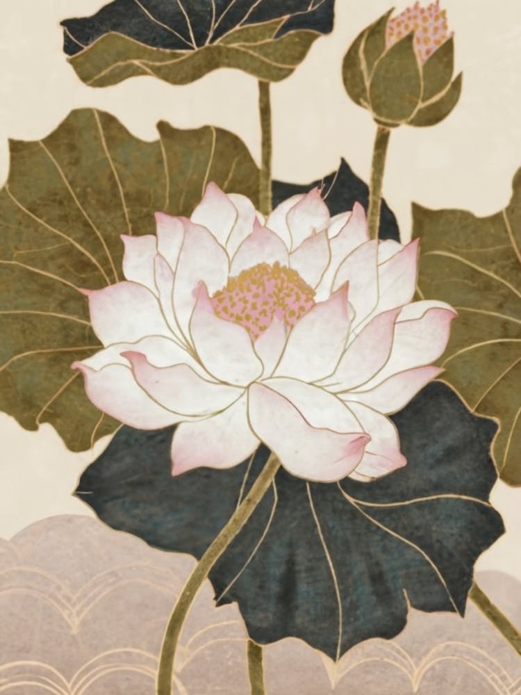 Lotus Flower 7