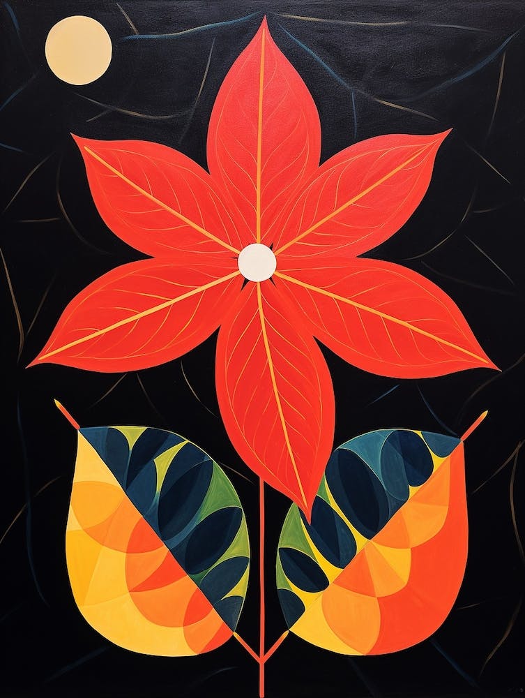 Poinsettia 4 Hilma Af Klint Inspired Flower Illustration