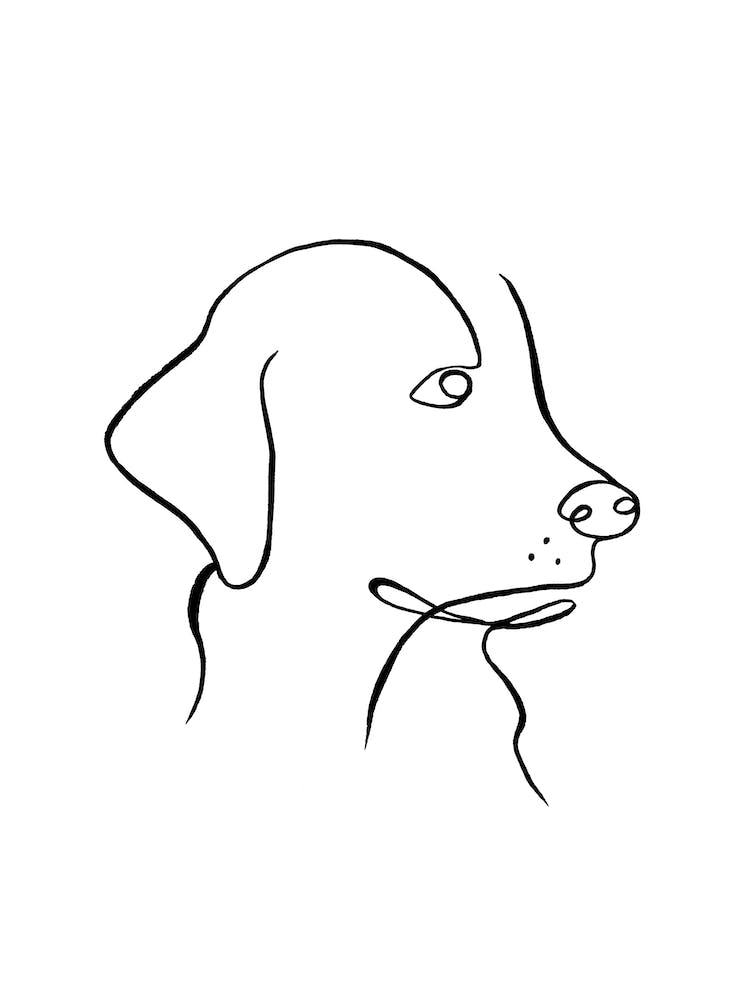Minimal Labrador