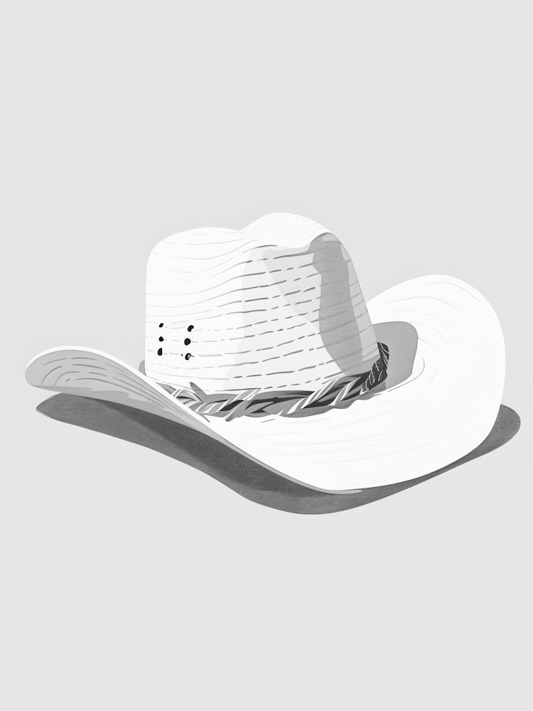 Cowboy Hat 1