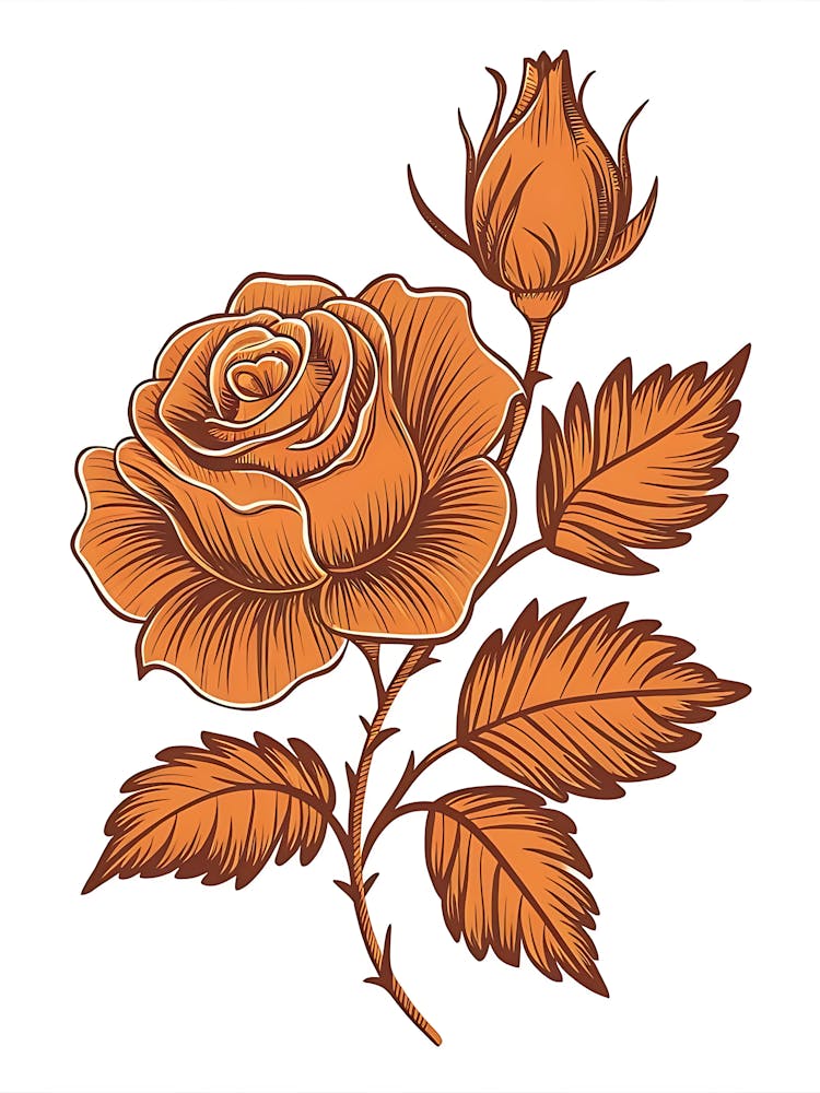 Orange Rose