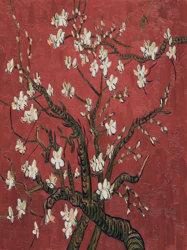 Blossoming Almond Tree 2