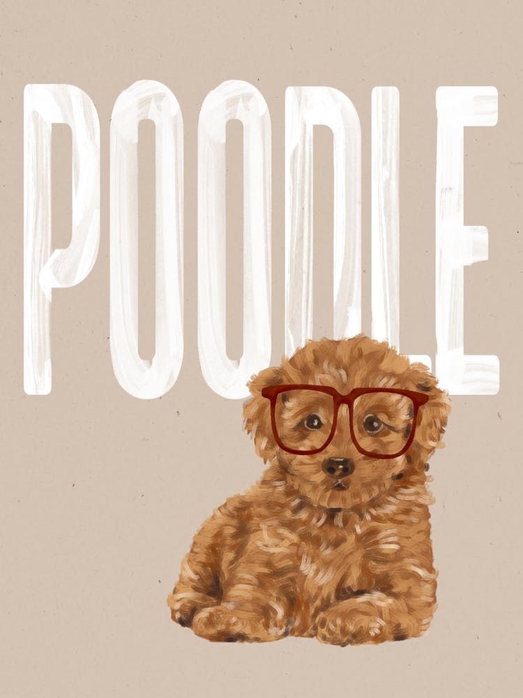 Poodle Dog