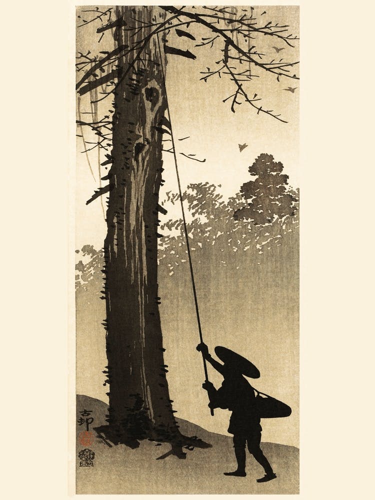 Bird Nest Rover (1900 1910), Ohara Koson