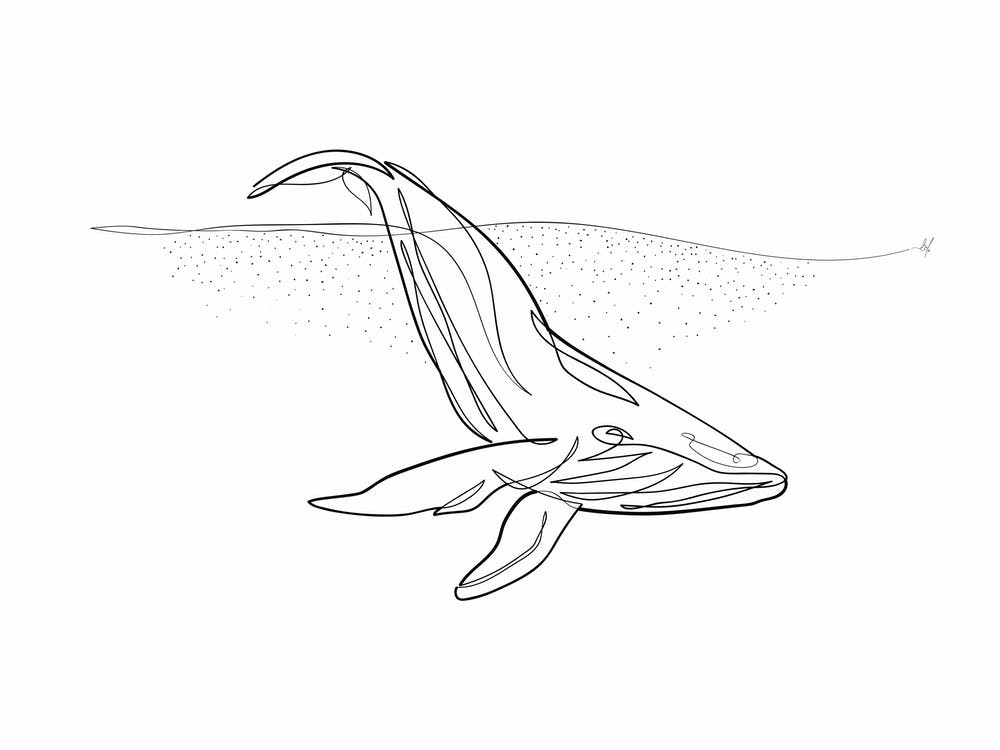 Whale