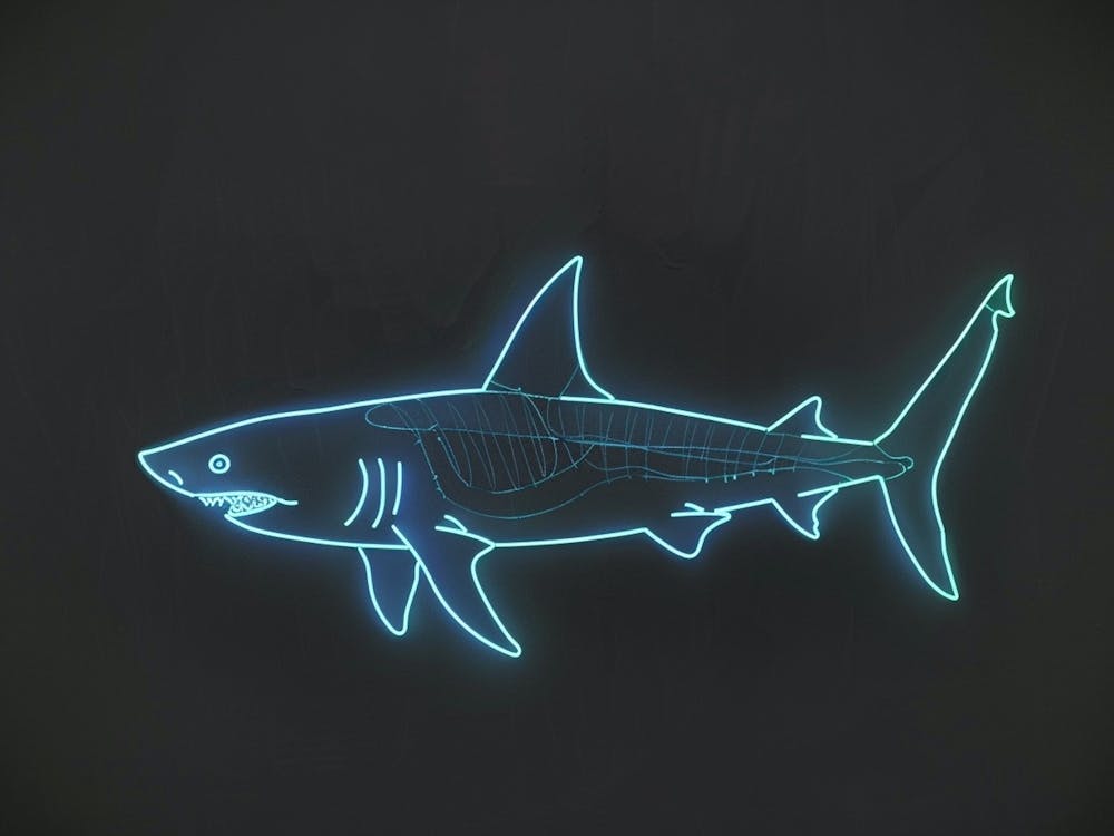 Neon Blue Greenland Shark 3