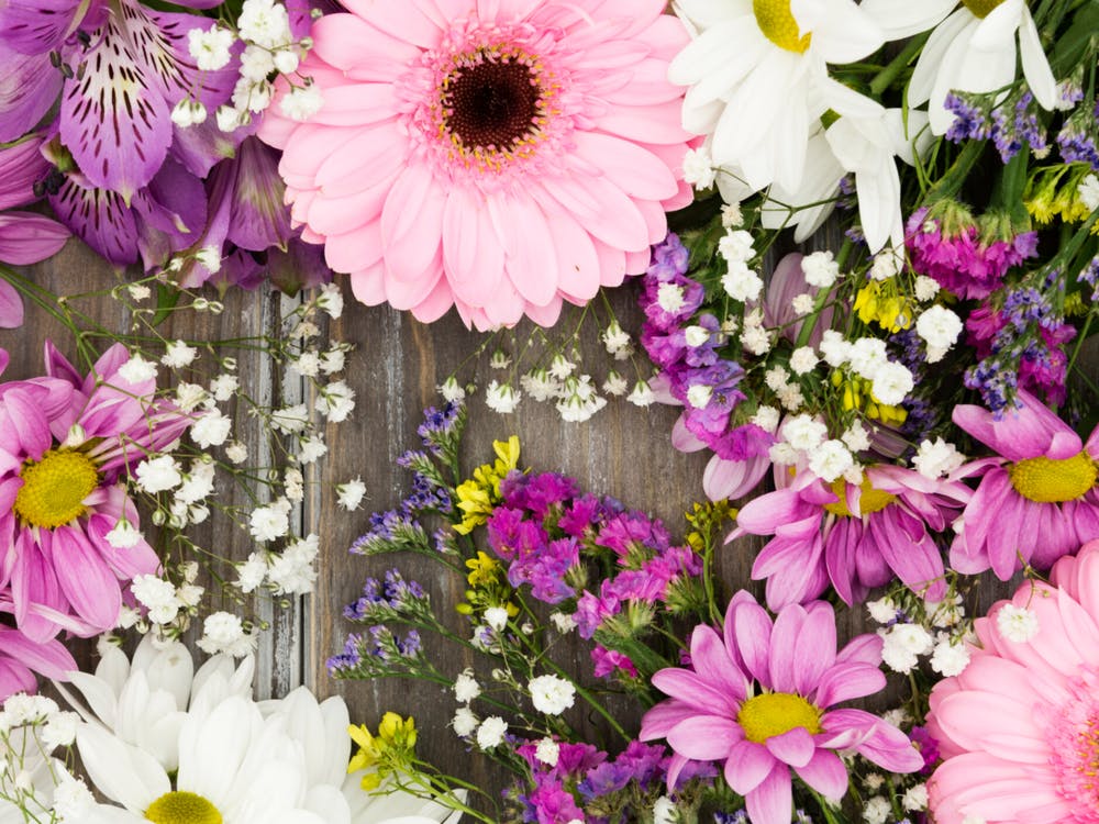 Flowers On A Wooden Background