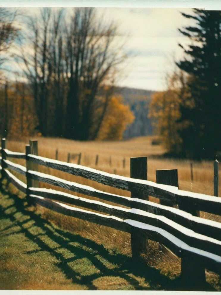 Fence and nature