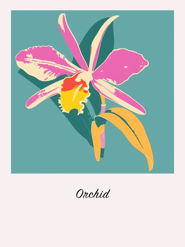 Orchidee 3 Quadratische Blumenillustration Poster