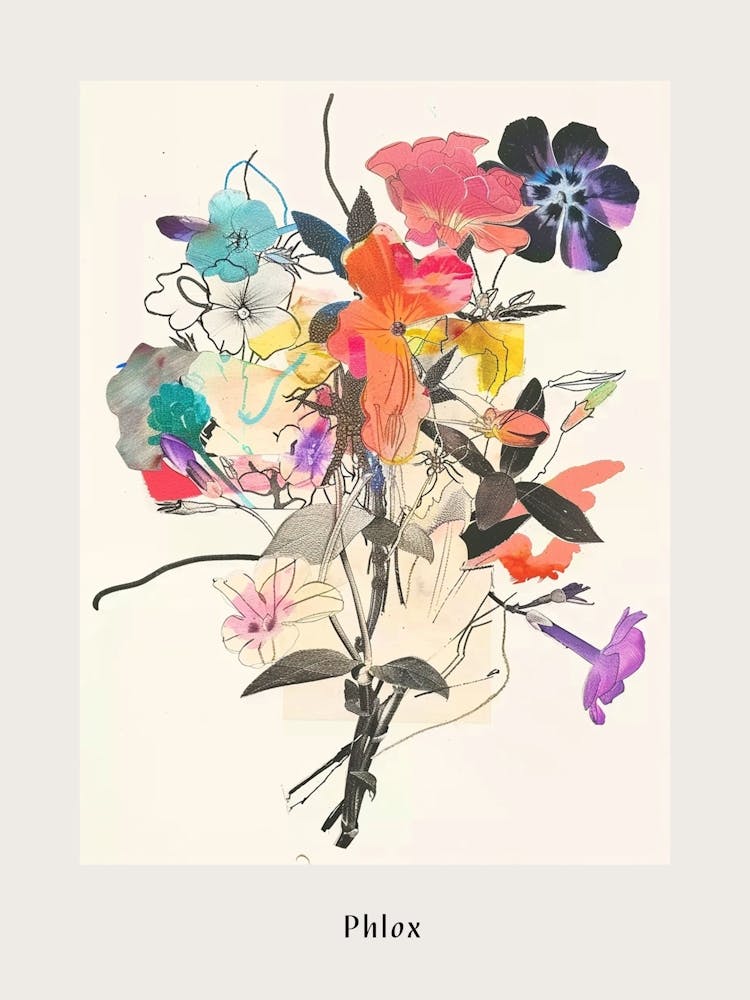 Phlox 4 Collage Flower Bouquet Poster