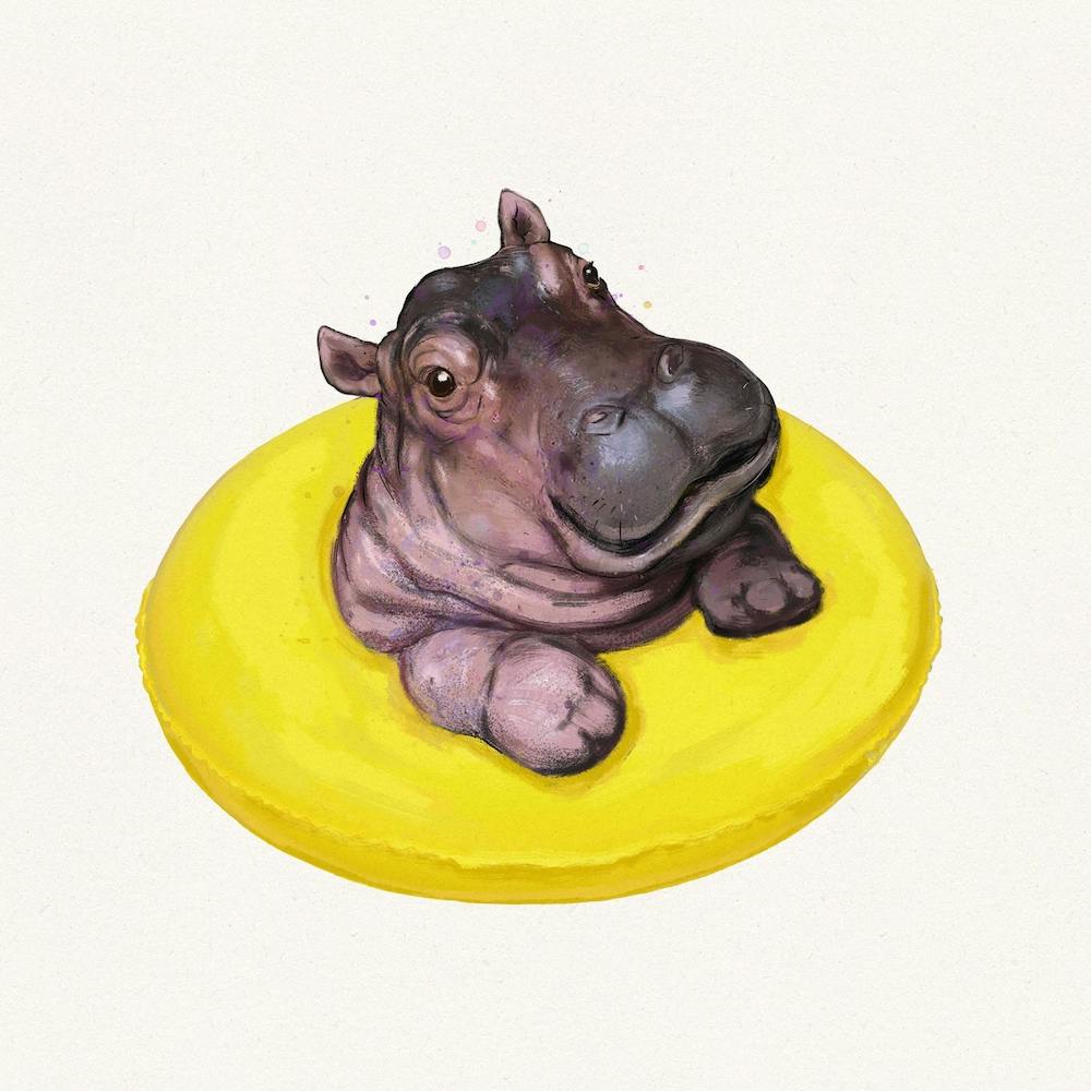 Happy Hippo Square
