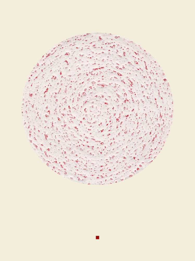 THE CIRCLE N°09 1
