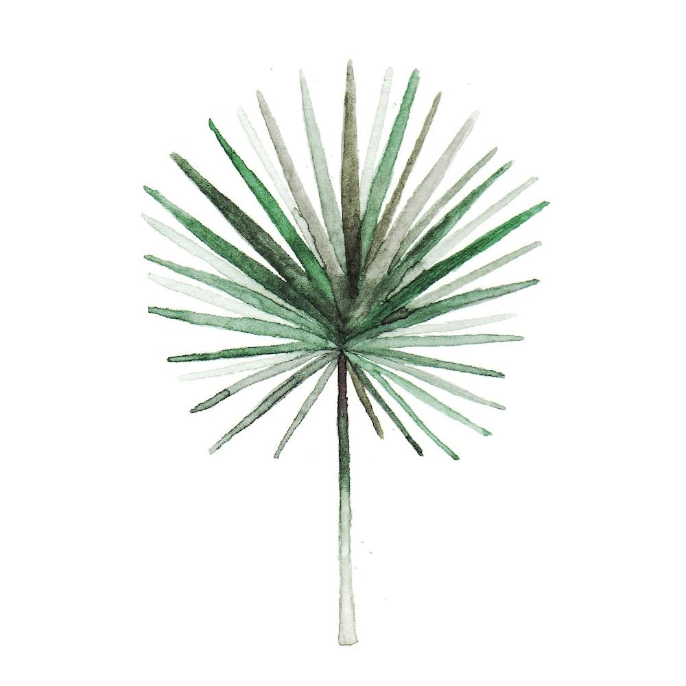 Simple Palm Leaf2
