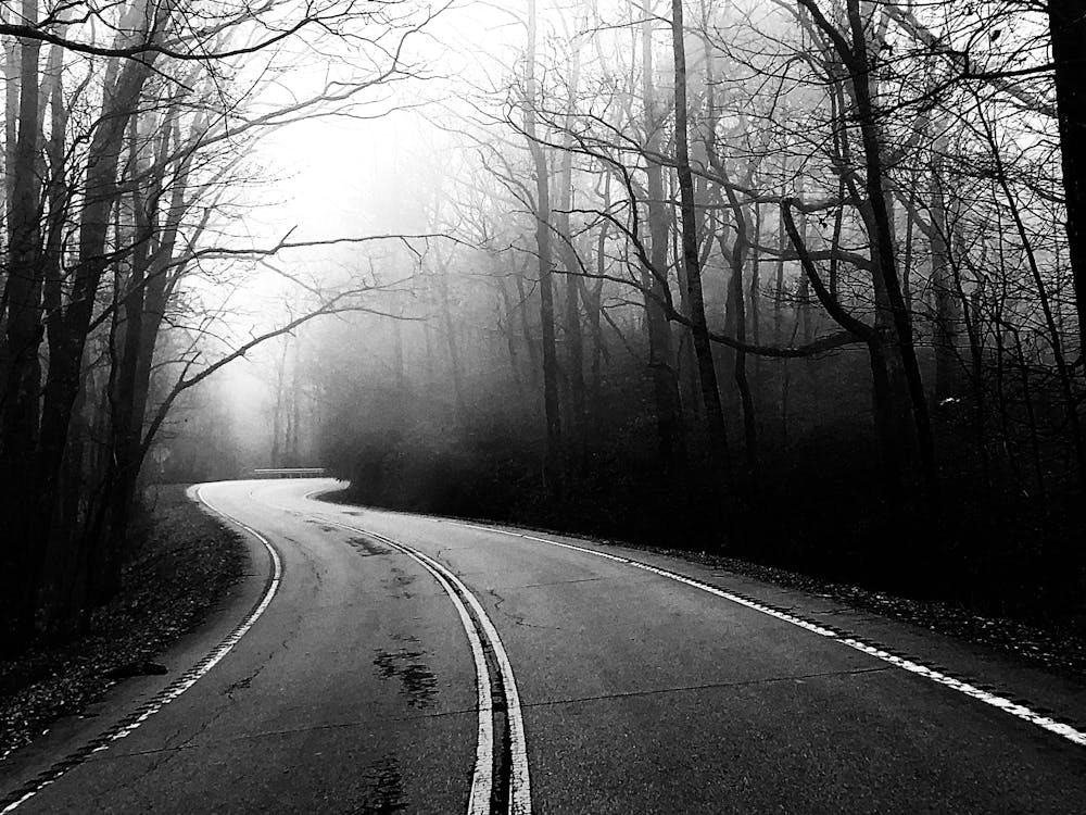 Foggy Road