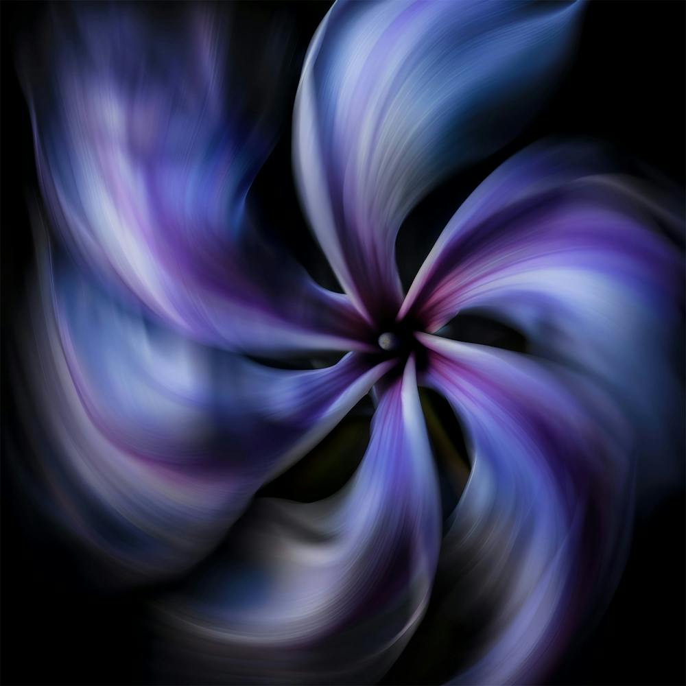 Abstract Flower 2