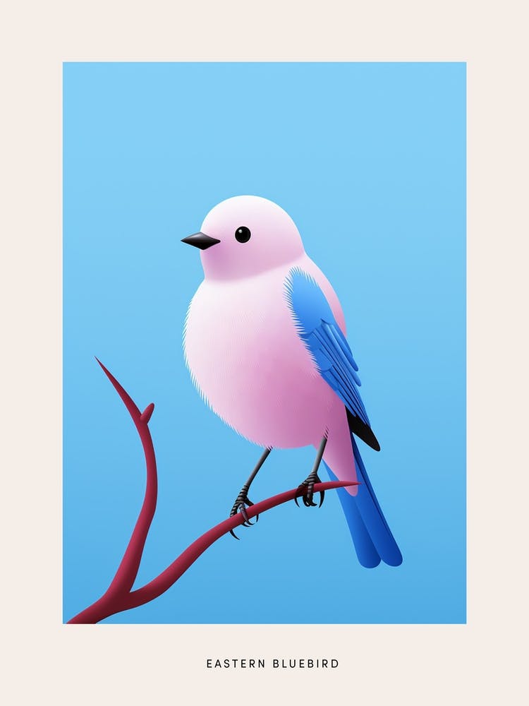 Minimalist Eastern Bluebird 3 Bird Poster