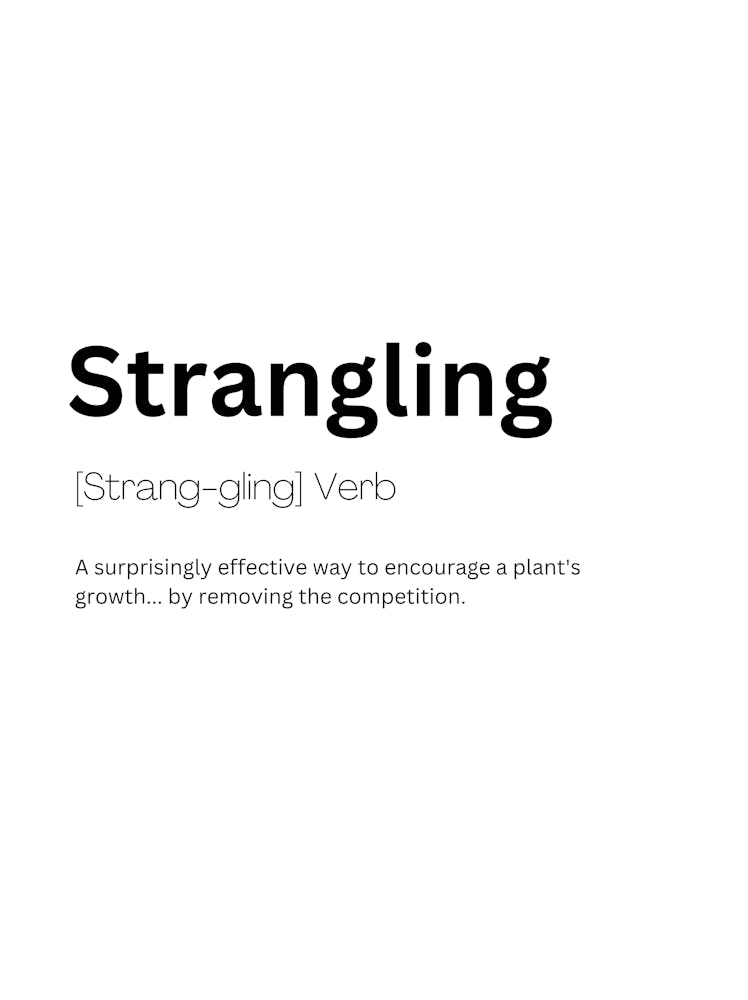 Strangling Definition Meaning