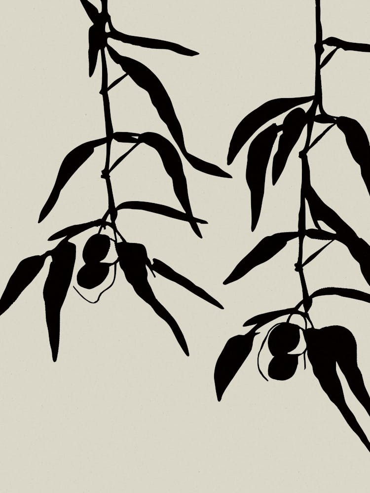 Olive Twigs