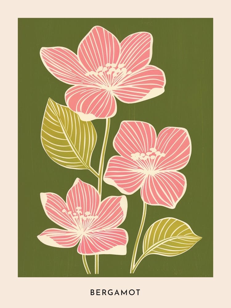 Pink & Green Bergamot 1 Flower Poster
