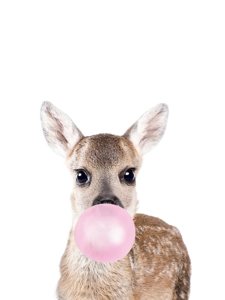 Bubble Gum Deer