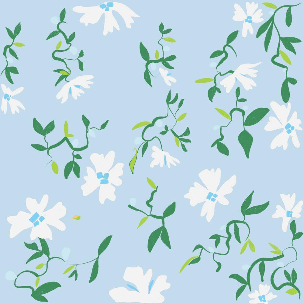 White Flowers On Blue Background