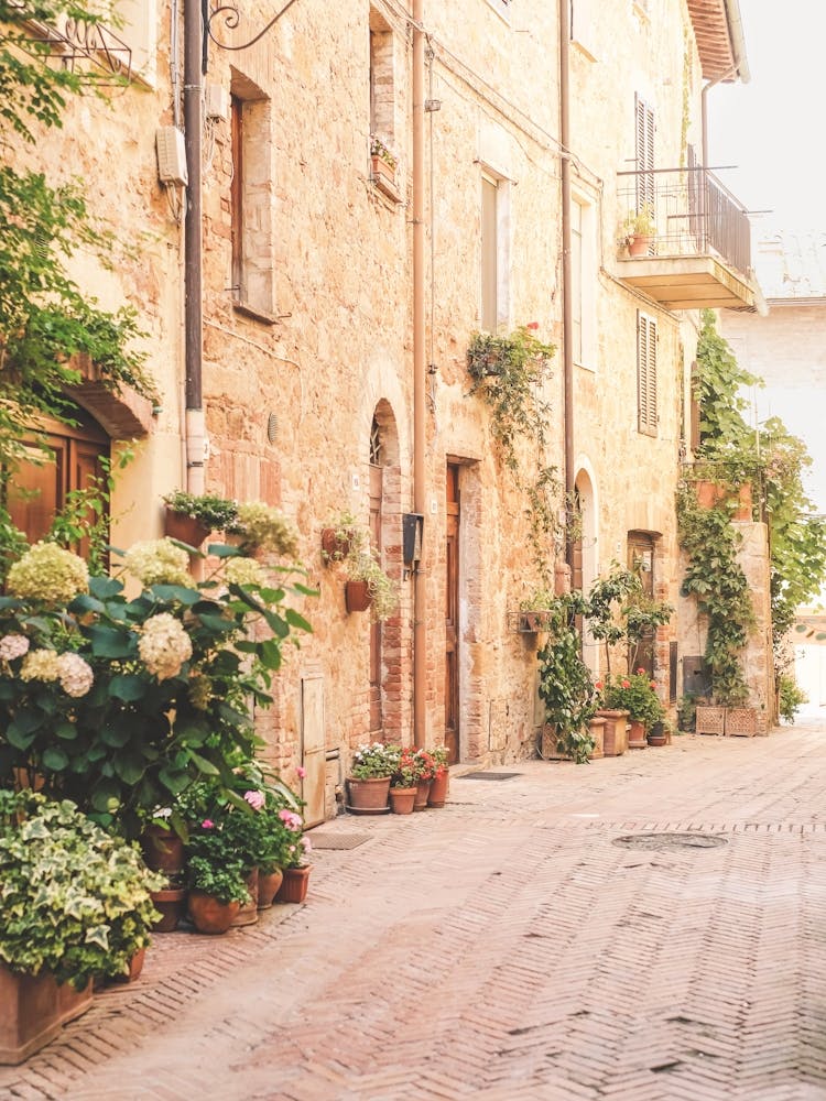 Tuscany, Italy I Blooming alley in Pienza village with plants flowers under pastel warm summer light rustic Italian street photography with Mediterranean countryside charm, floral beauty, la dolce vita