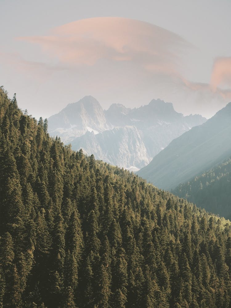 Majestic Mountain Views