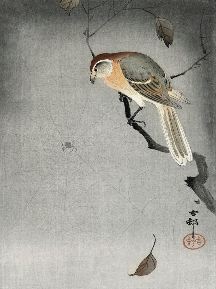 Buffalo Wing Shrike And Spider (1900 1930), Ohara Koson